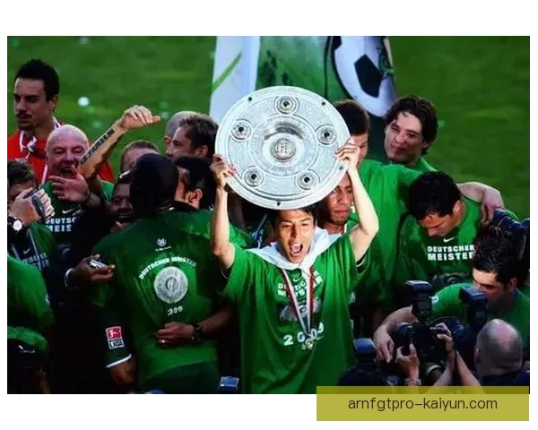 狼堡阵容深度分析：表现稳健，竞争力增强。